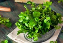 El berro: un superalimento con beneficios para huesos, corazón, piel y más