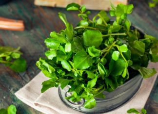 El berro: un superalimento con beneficios para huesos, corazón, piel y más