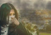 Autoridades entregan recomendaciones para prevenir riesgos de salud ante incendios forestales