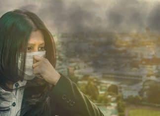 Autoridades entregan recomendaciones para prevenir riesgos de salud ante incendios forestales