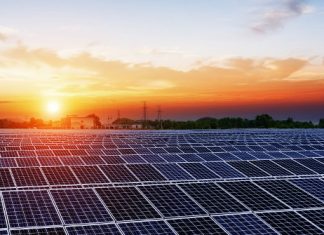 Energía solar en auge: récord de inversión en renovables