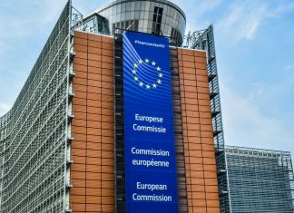 Teleamigos: La Revolución del Acompañamiento Digital con Rostro Humano