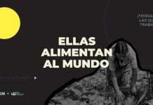 Mujeres rurales producen el 60% de los alimentos en África, pero solo el 15% son dueñas de la tierra que cultivan