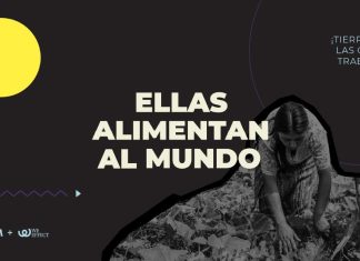 Mujeres rurales producen el 60% de los alimentos en África, pero solo el 15% son dueñas de la tierra que cultivan