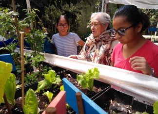 Huertos Urbanos Intergeneracionales»: Cultivar alimentos y relaciones