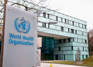 «El Alto Costo de la Soledad: Inversión en Acompañamiento como Estrategia de Ahorro Sanitario»