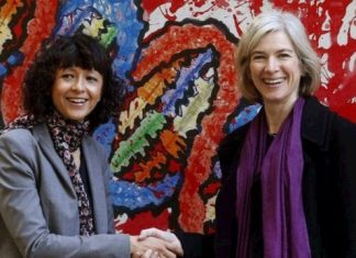 Solo el 12% de los premios Nobel en ciencia han sido para mujeres: iniciativa global exige cuotas de género en nominaciones