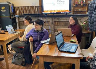 Mujeres lideran el 58% de los nuevos emprendimientos en América Latina, pero solo reciben el 2% de la inversión de riesgo