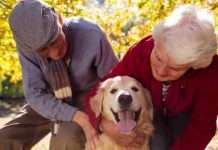 Terapia con Mascotas y «Perros de Visita»