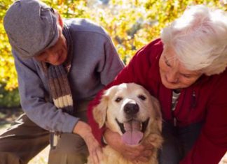 Terapia con Mascotas y «Perros de Visita»