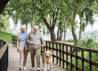 ¡SÍ! después de los 60 años, la vida puede ser más satisfactoria