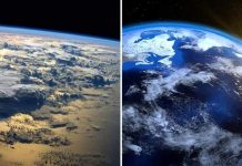 La tierra está perdiendo brillo: una de las causas de la crisis climática