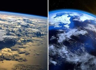 La tierra está perdiendo brillo: una de las causas de la crisis climática