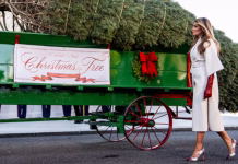 La casa Blanca ya tiene su árbol de Navidad: fue recibido oficialmente por Melania trump