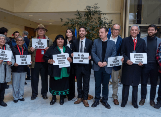 Proyecto de Ley «Hijitos Corazón”: ¿la esperanza de un nuevo amparo?