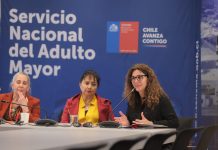 El marco existente: protección institucional al adulto mayor, pero con grietas estructurales