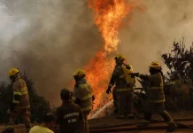 Incendios Forestales en Chile Hoy: Balance Crítico y Toque de Queda en Biobío y Ñuble
