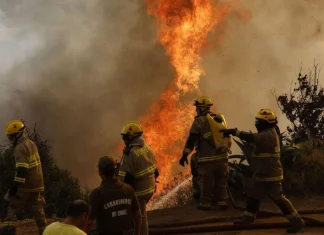 Incendios Forestales en Chile Hoy: Balance Crítico y Toque de Queda en Biobío y Ñuble