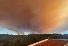 Chile bajo fuego: Balance actualizado de los devastadores incendios forestales en la zona centro-sur