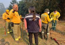 Incendios Forestales en Chile: 21 fallecidos y 18 focos en combate