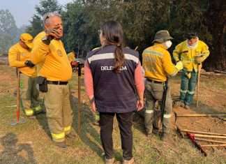 Incendios Forestales en Chile: 21 fallecidos y 18 focos en combate