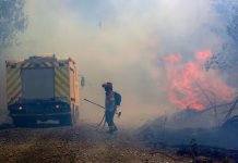 Incendios Forestales en Chile Hoy: Estado de Catástrofe en Biobío y Ñuble deja 16 fallecidos y miles de evacuados
