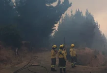 Incendios Forestales: Senapred mantiene la Alerta Roja en las comunas de Concón y Limache (Región de Valparaíso). El fuego ha consumido más de 140 hectáreas y se han ordenado evacuaciones preventivas en sectores amenazados.