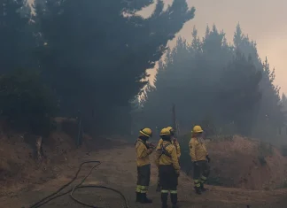 Incendios Forestales: Senapred mantiene la Alerta Roja en las comunas de Concón y Limache (Región de Valparaíso). El fuego ha consumido más de 140 hectáreas y se han ordenado evacuaciones preventivas en sectores amenazados.