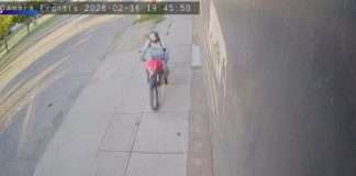 Conmoción en Maipú: «Motochorro» atropella y mata a adulta mayor de 75 años mientras huía de asalto