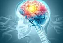 La fibra, clave para la salud del cerebro y el cuerpo: qué alimentos recomiendan los expertos