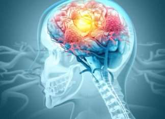 La fibra, clave para la salud del cerebro y el cuerpo: qué alimentos recomiendan los expertos