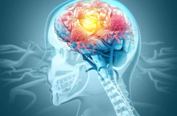 La fibra, clave para la salud del cerebro y el cuerpo: qué alimentos recomiendan los expertos