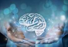 Claves para una mente sana: 10 hábitos que protegen la memoria con el paso del tiempo